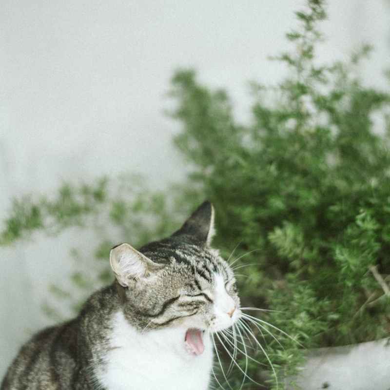 Did Social Media Make me&nbsp;Sick?